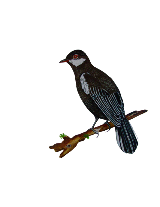 Hand-painted acrylic: Black Solitaire by Lilly Sylva