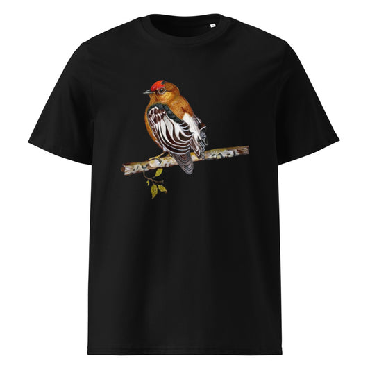 Club-winged Manakin tee on Black, Printful mockup