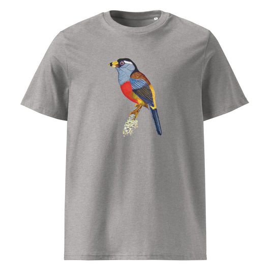Toucan Barbet tee on Heather Grey, Printful mockup