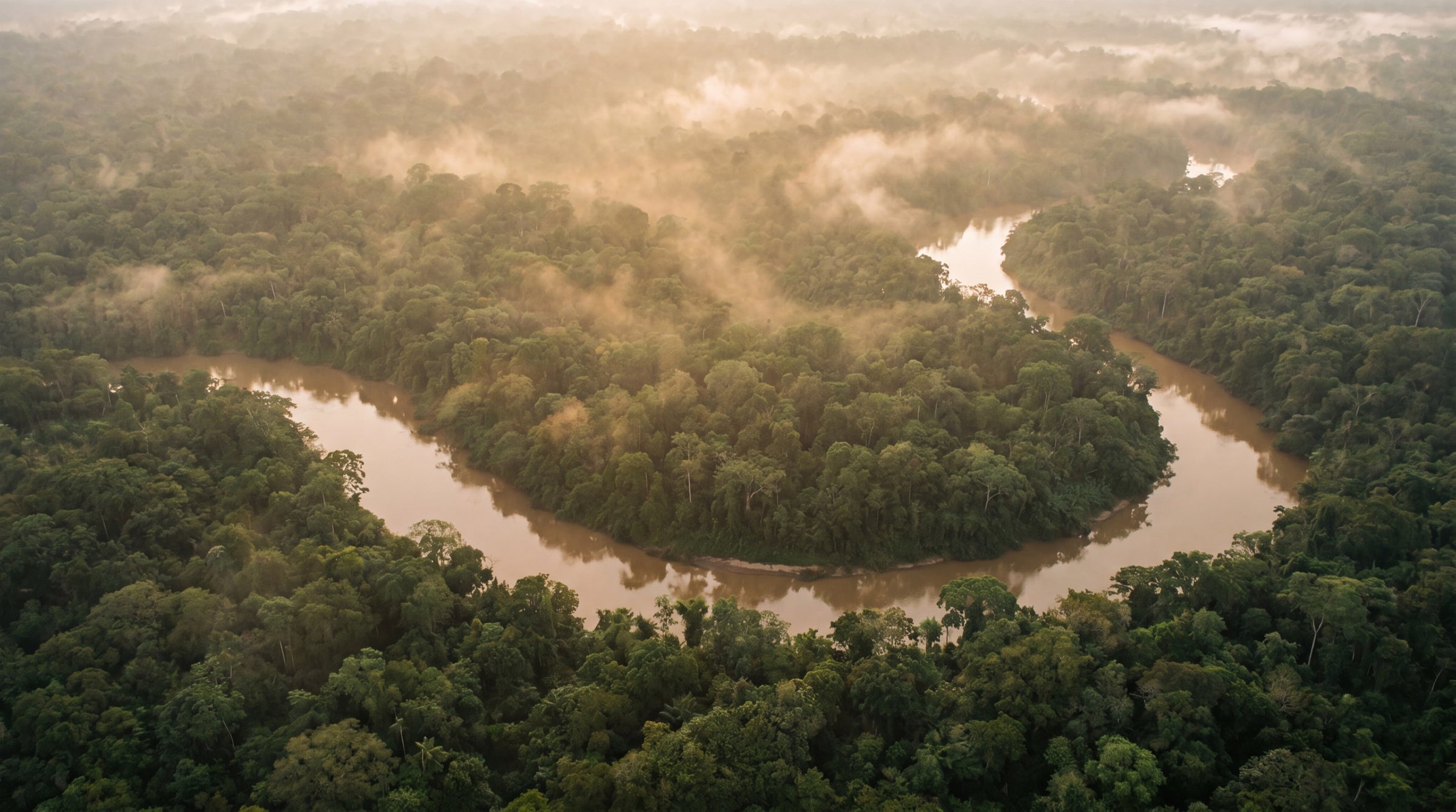 Amazon basin