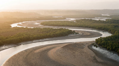 Coastal Ecuador