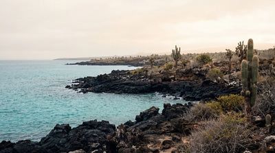 Galápagos endemics