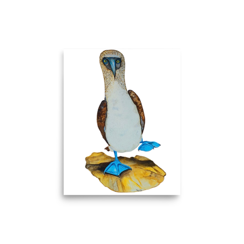 Blue-footed Booby art print on matte paper, Printful mockup