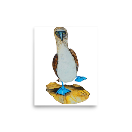 Blue-footed Booby art print on matte paper, Printful mockup