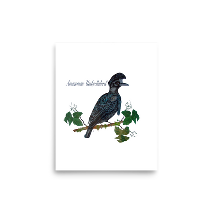 Amazonian Umbrellabird art print on matte paper, Printful mockup