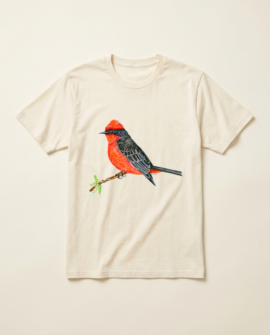 Product mockup: hand-painted Vermilion Flycatcher by Lilly Sylva