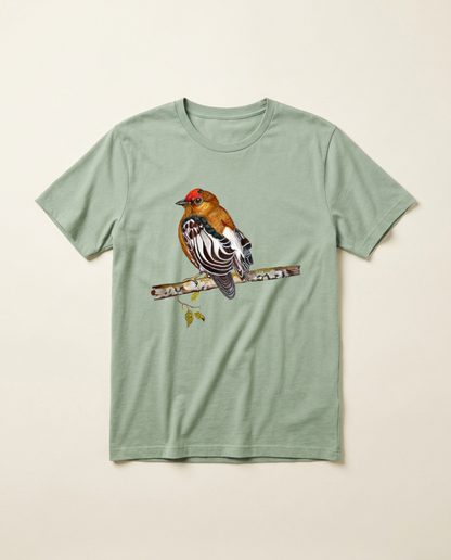 Product mockup: hand-painted Club-winged Manakin by Lilly Sylva
