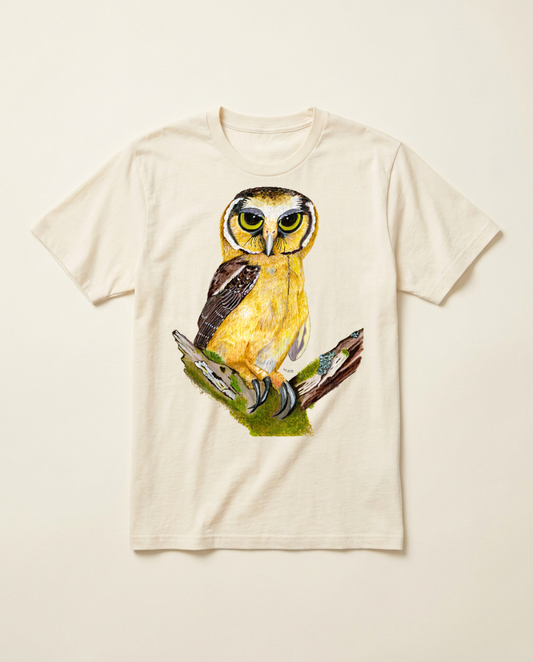 Product mockup: hand-painted Buff-fronted Owl by Lilly Sylva