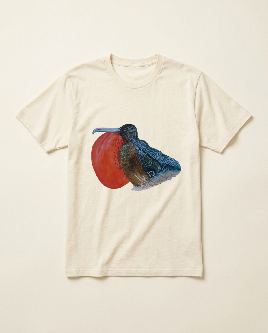 Product mockup: hand-painted Galápagos Frigatebird by Lilly Sylva