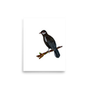 Black Solitaire art print