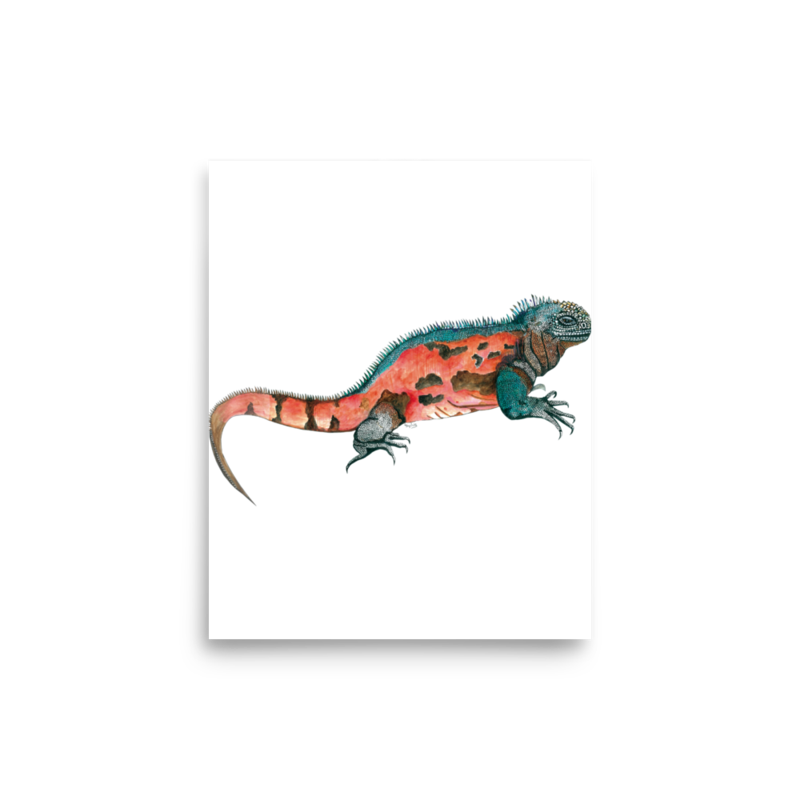 Marine Iguana art print on matte paper, Printful mockup