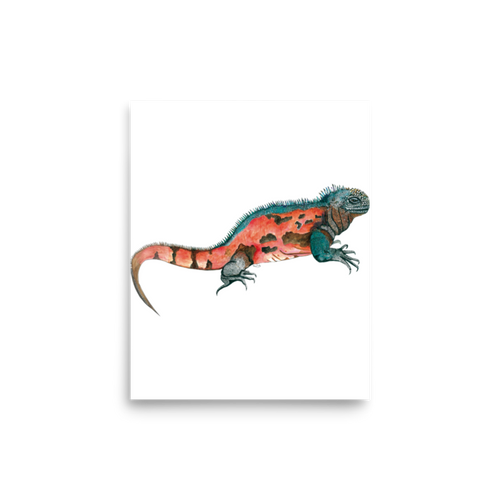 Marine Iguana art print