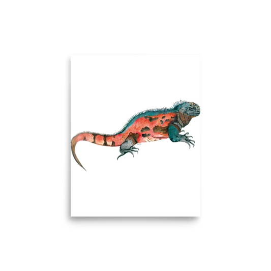 Marine Iguana art print on matte paper, Printful mockup