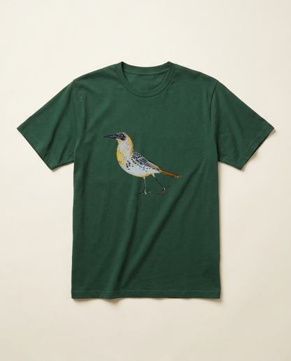 Product mockup: hand-painted Galápagos Mockingbird by Lilly Sylva