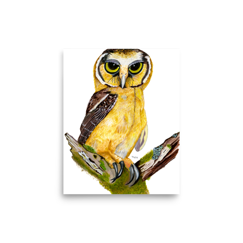 Buff-fronted Owl art print on matte paper, Printful mockup