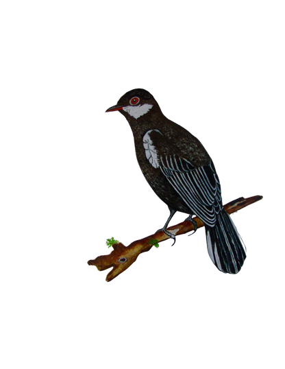 Hand-painted acrylic: Black Solitaire by Lilly Sylva