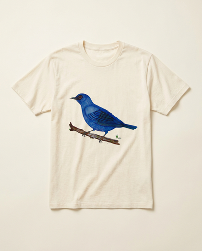 Product mockup: hand-painted Blue-and-Black Tanager by Lilly Sylva