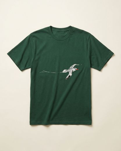 Product mockup: hand-painted Red-billed Tropicbird by Lilly Sylva