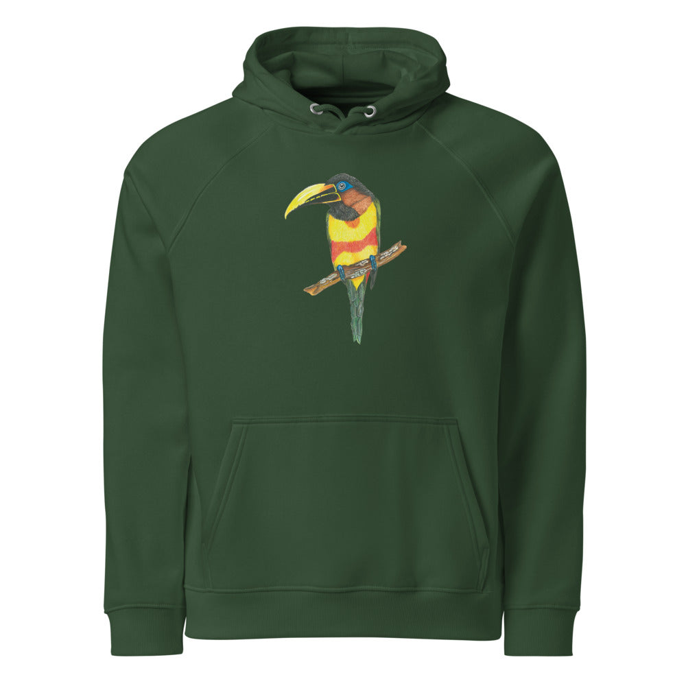 Chestnut-eared Araçari hoodie on Bottle green, Printful mockup