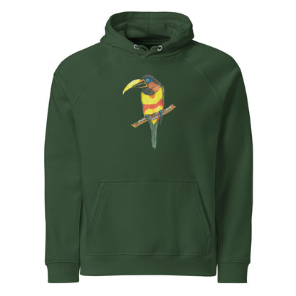 Chestnut-eared Araçari hoodie on Bottle green, Printful mockup