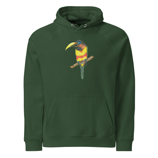 Chestnut-eared Araçari hoodie on Bottle green, Printful mockup
