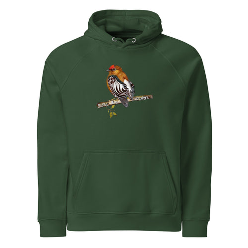 Club-winged Manakin hoodie
