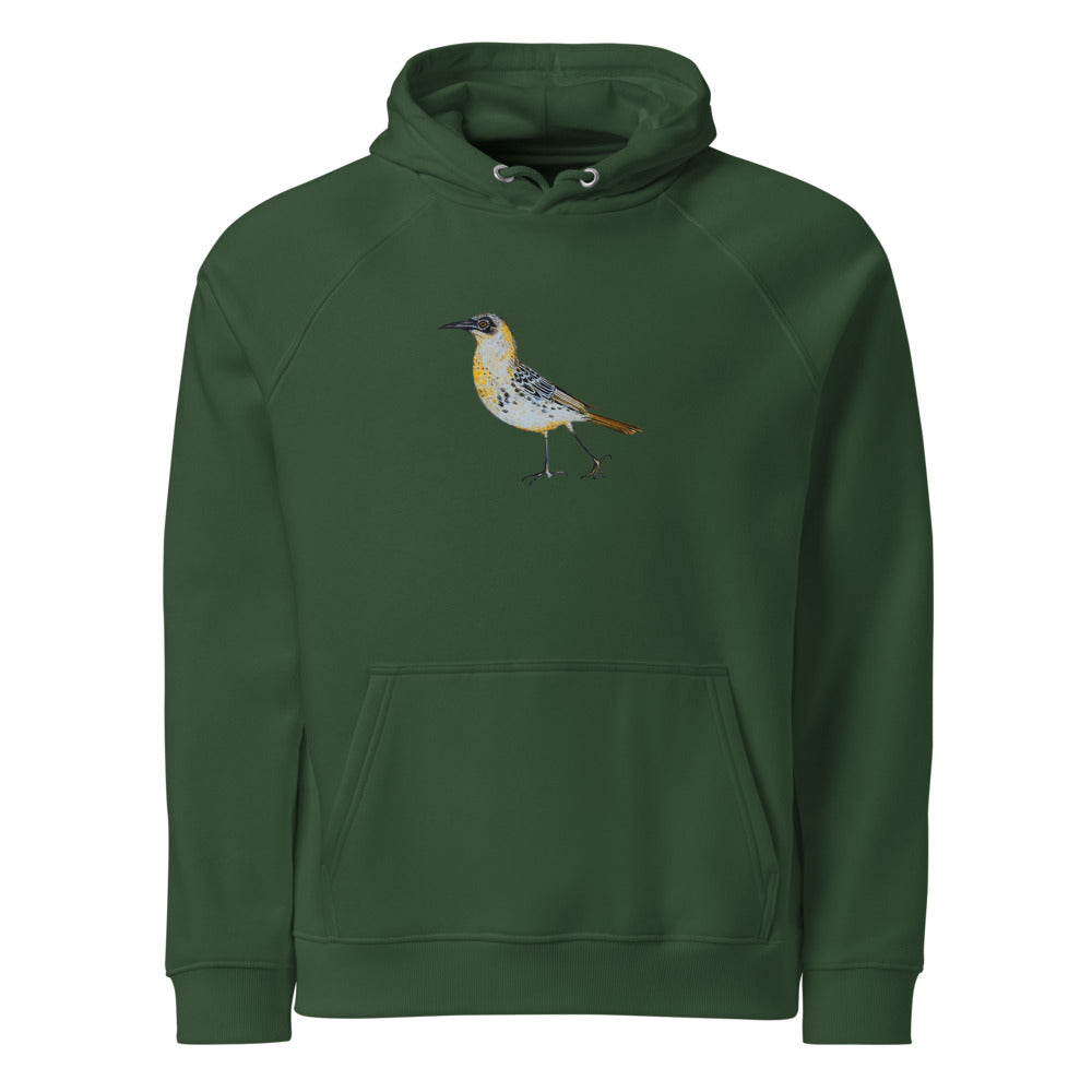 Galápagos Mockingbird hoodie on Bottle green, Printful mockup