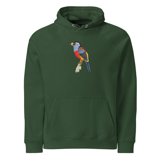 Toucan Barbet hoodie on Bottle green, Printful mockup
