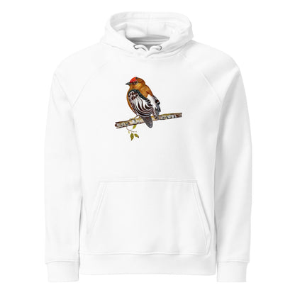 Club-winged Manakin hoodie on White, Printful mockup