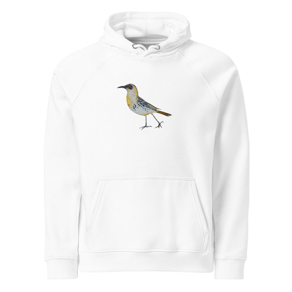 Galápagos Mockingbird hoodie on White, Printful mockup