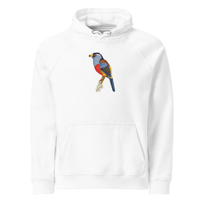 Toucan Barbet hoodie on White, Printful mockup