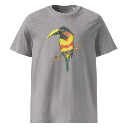 Chestnut-eared Araçari tee on Heather Grey, Printful mockup