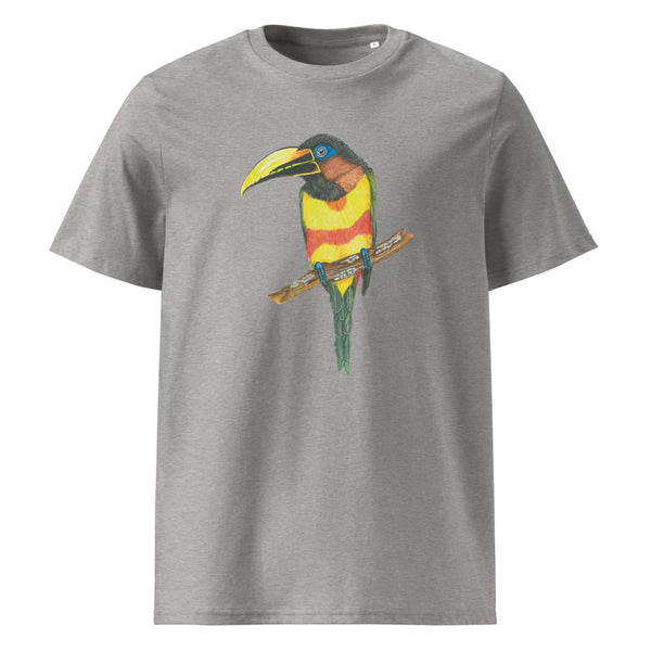 Chestnut-eared Araçari tee