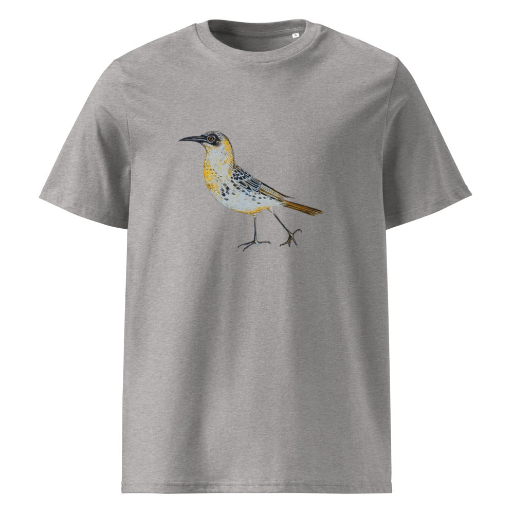 Galápagos Mockingbird tee on Heather Grey, Printful mockup