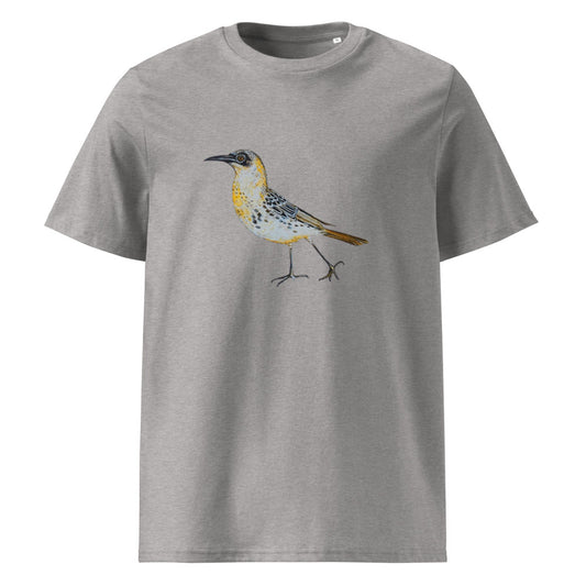 Galápagos Mockingbird tee on Heather Grey, Printful mockup