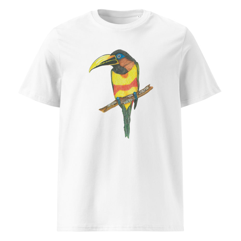 Chestnut-eared Araçari tee on White, Printful mockup