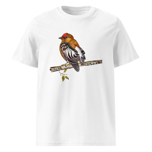 Club-winged Manakin tee