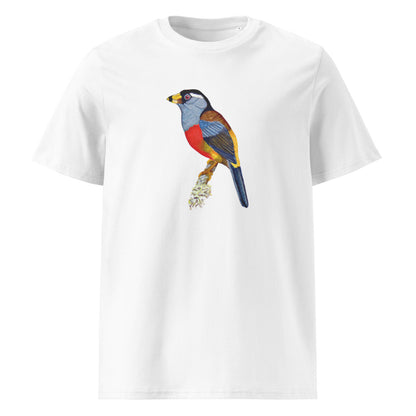 Toucan Barbet tee on White, Printful mockup