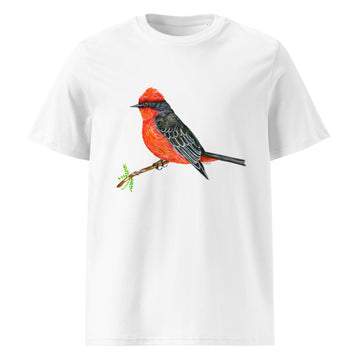 Vermilion Flycatcher