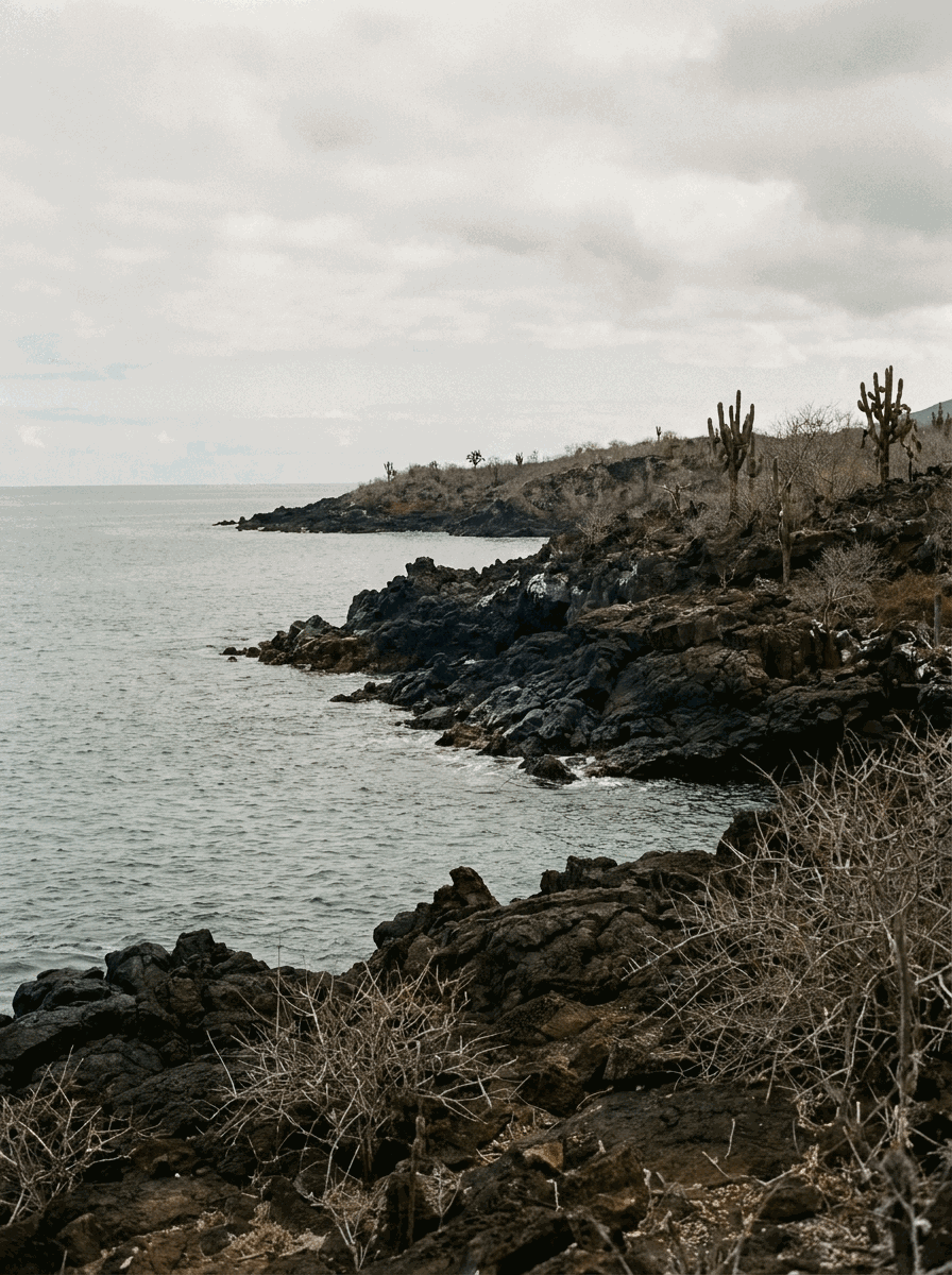 Volcanic shoreline in the Galápagos