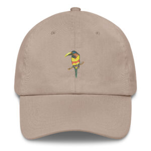 Chestnut-eared Aracari Hat