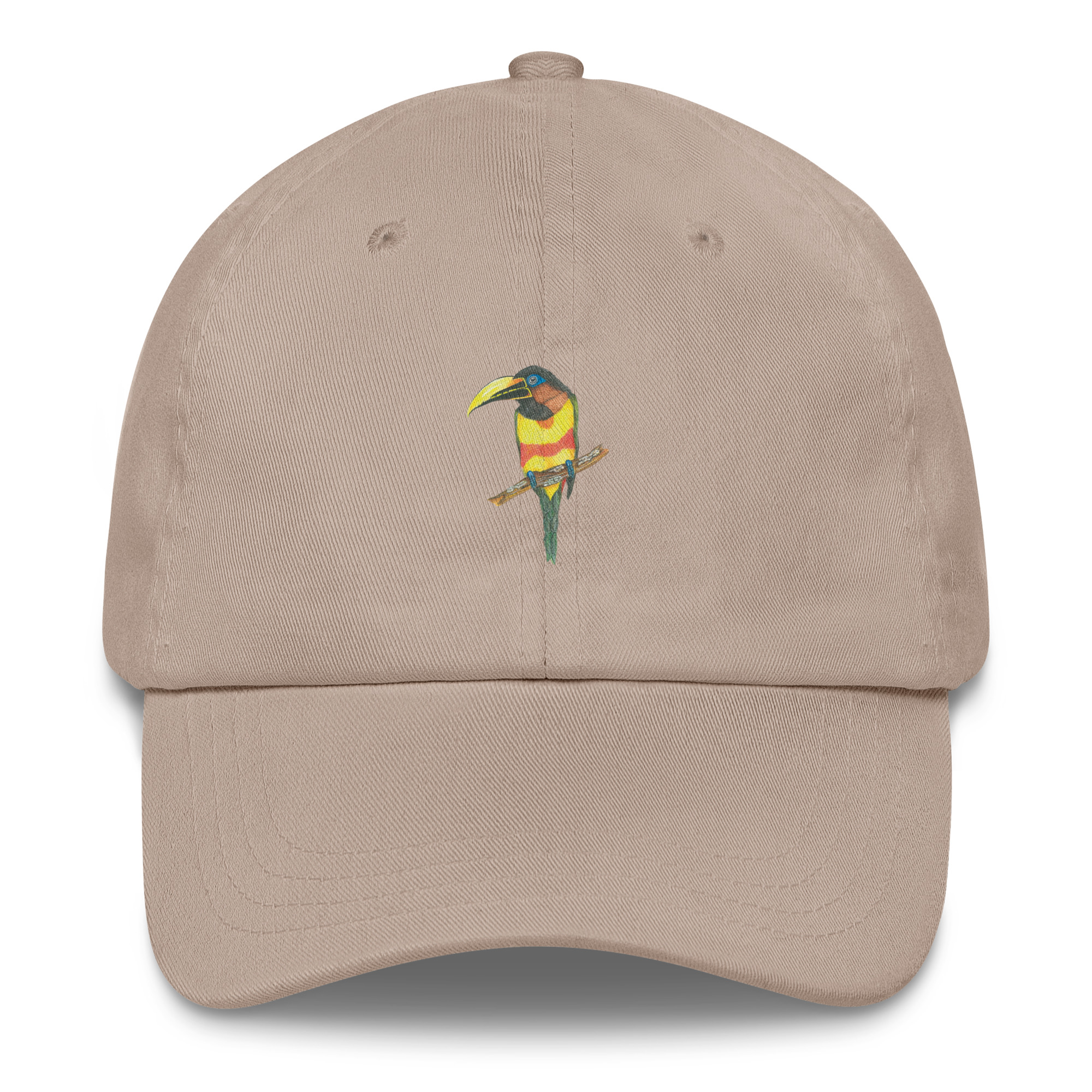 Chestnut-eared Aracari Hat